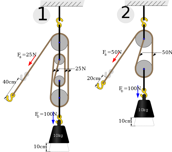 Homily from August 24, 2014: You can’t push a rope.