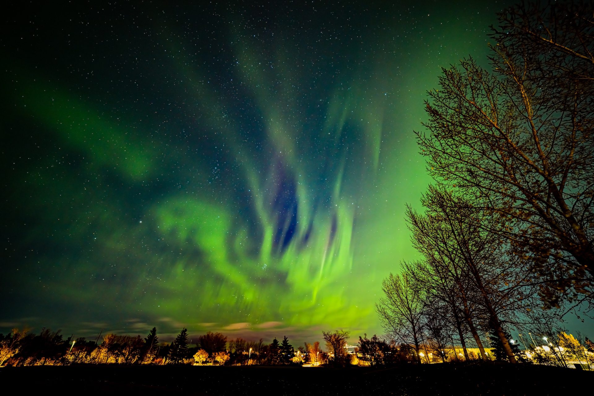 Homily from Oct. 17, 2021: The Northern Lights