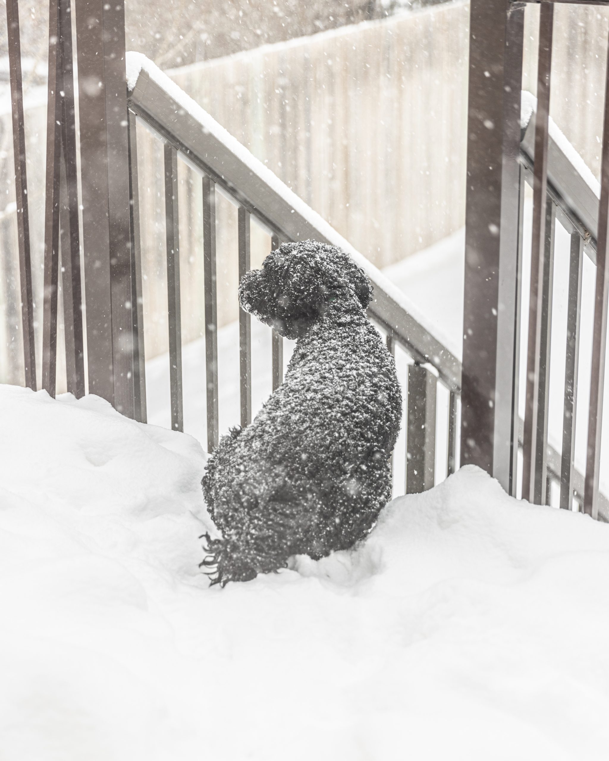 Homily from Mar. 10, 2024: Snowstorm