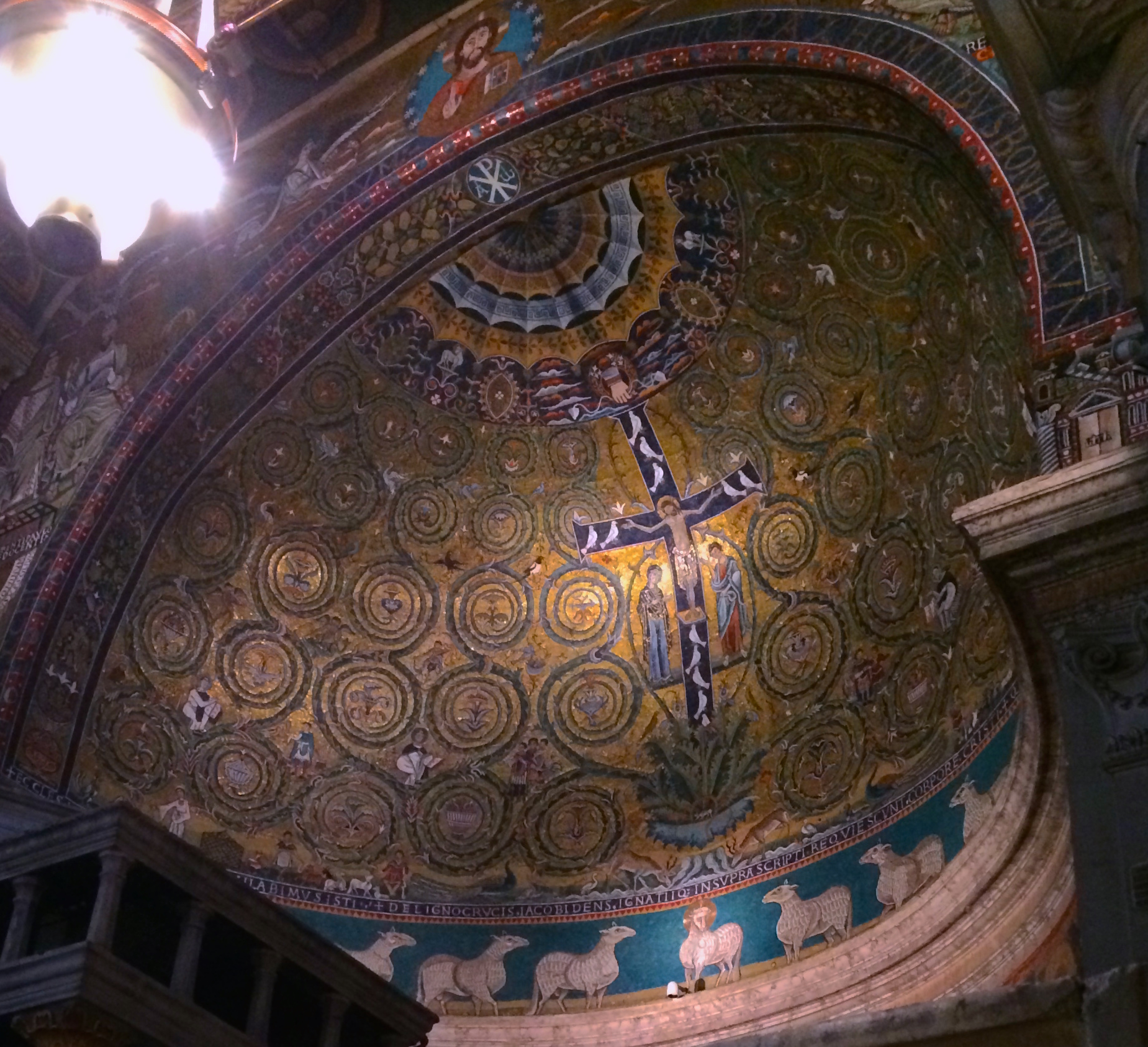 Homily from May 3, 2015: Rooted in Christ