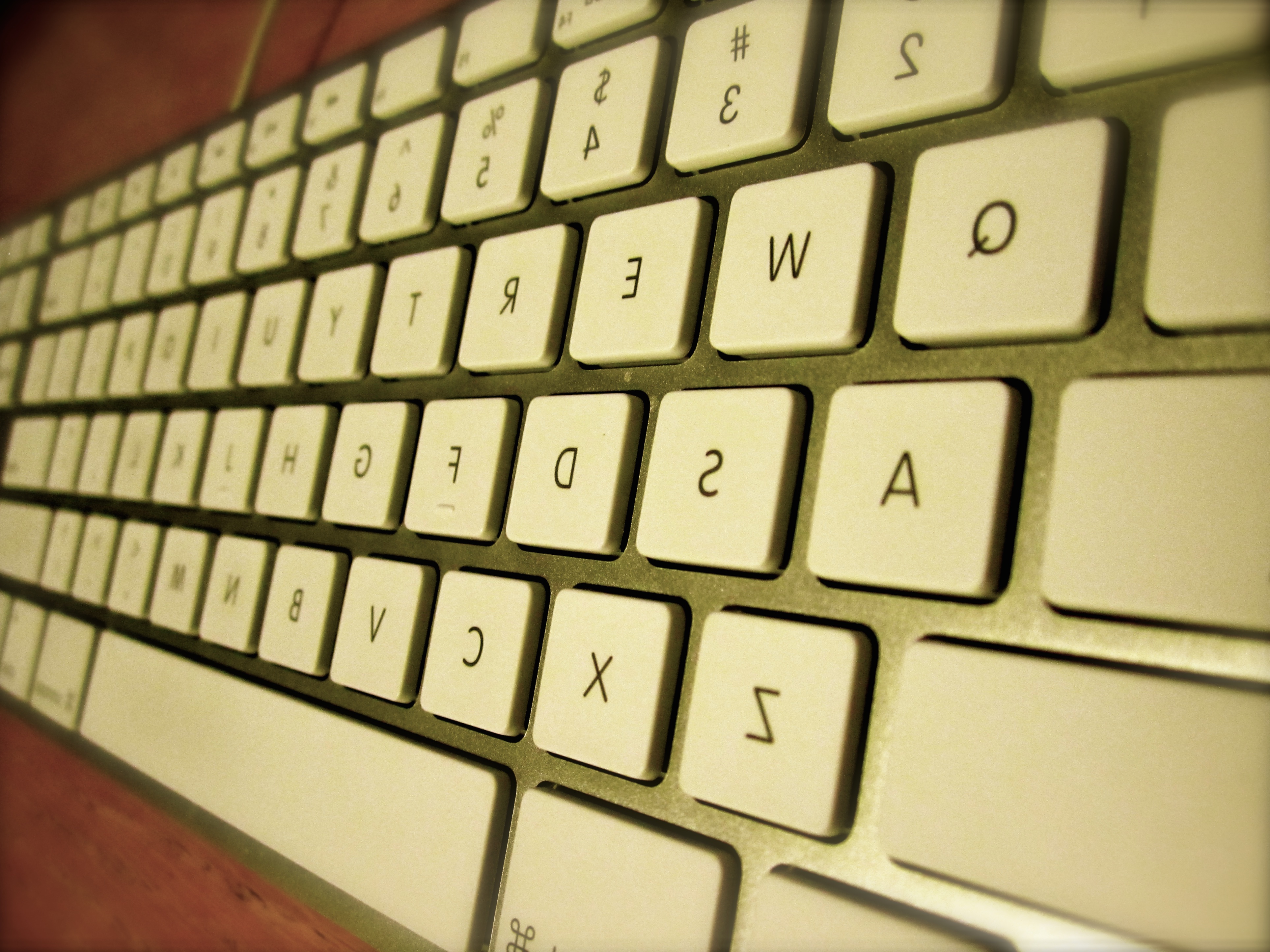 Homily from September 7, 2014: Backwards