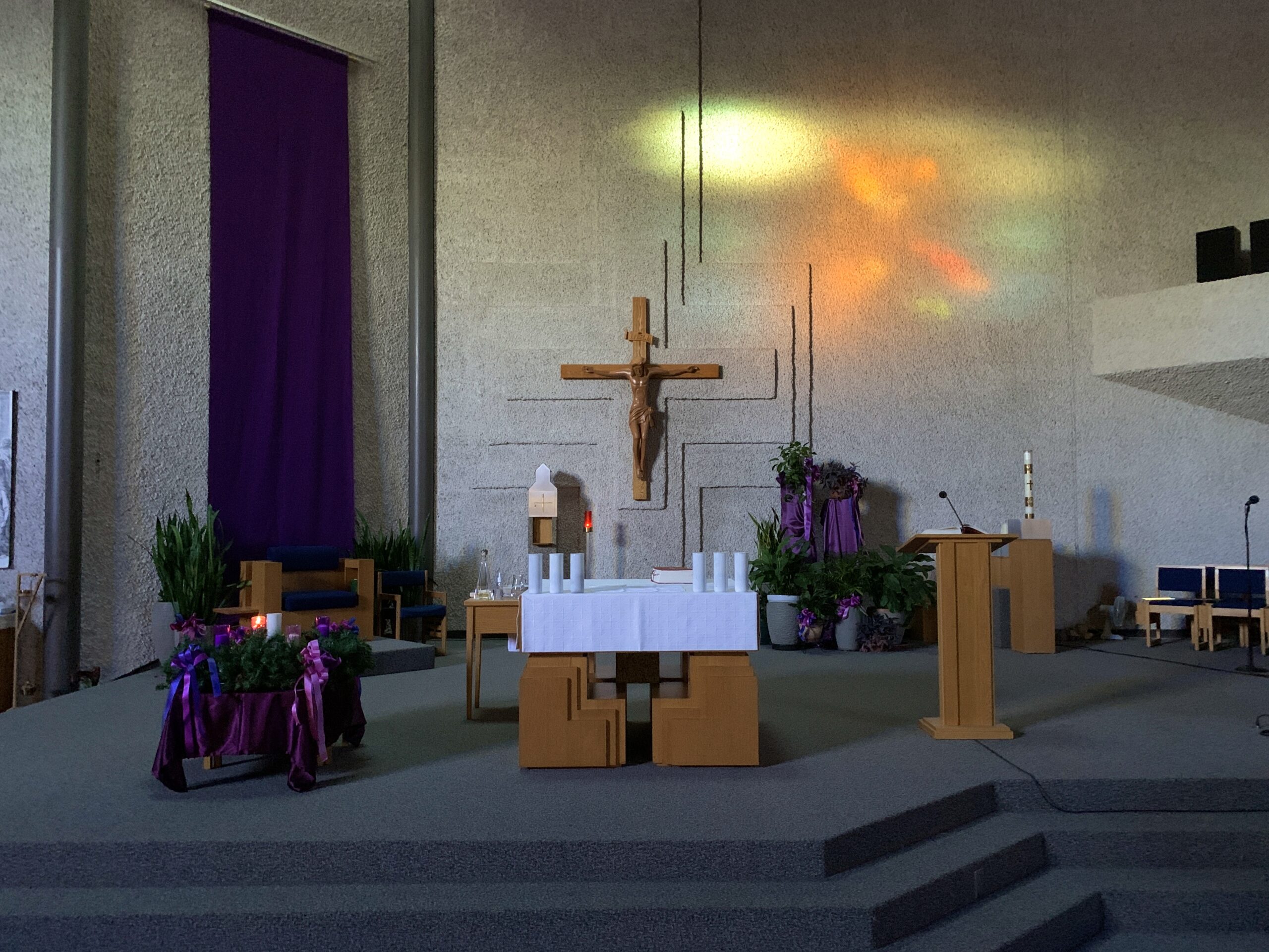 Homily from Nov. 29, 2020: Resolve to Run Forth