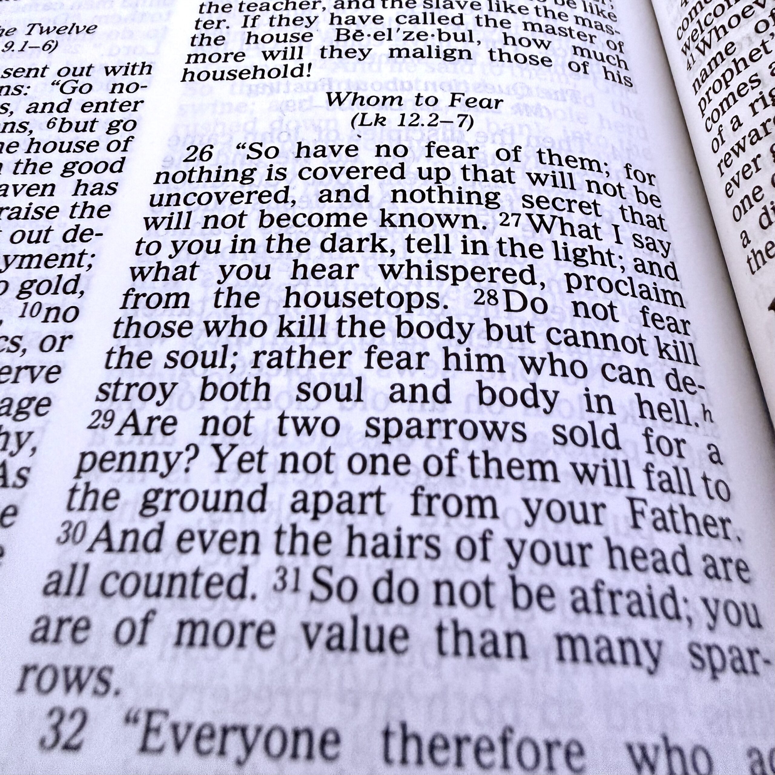 Homily from June 21, 2026: Do not fear those