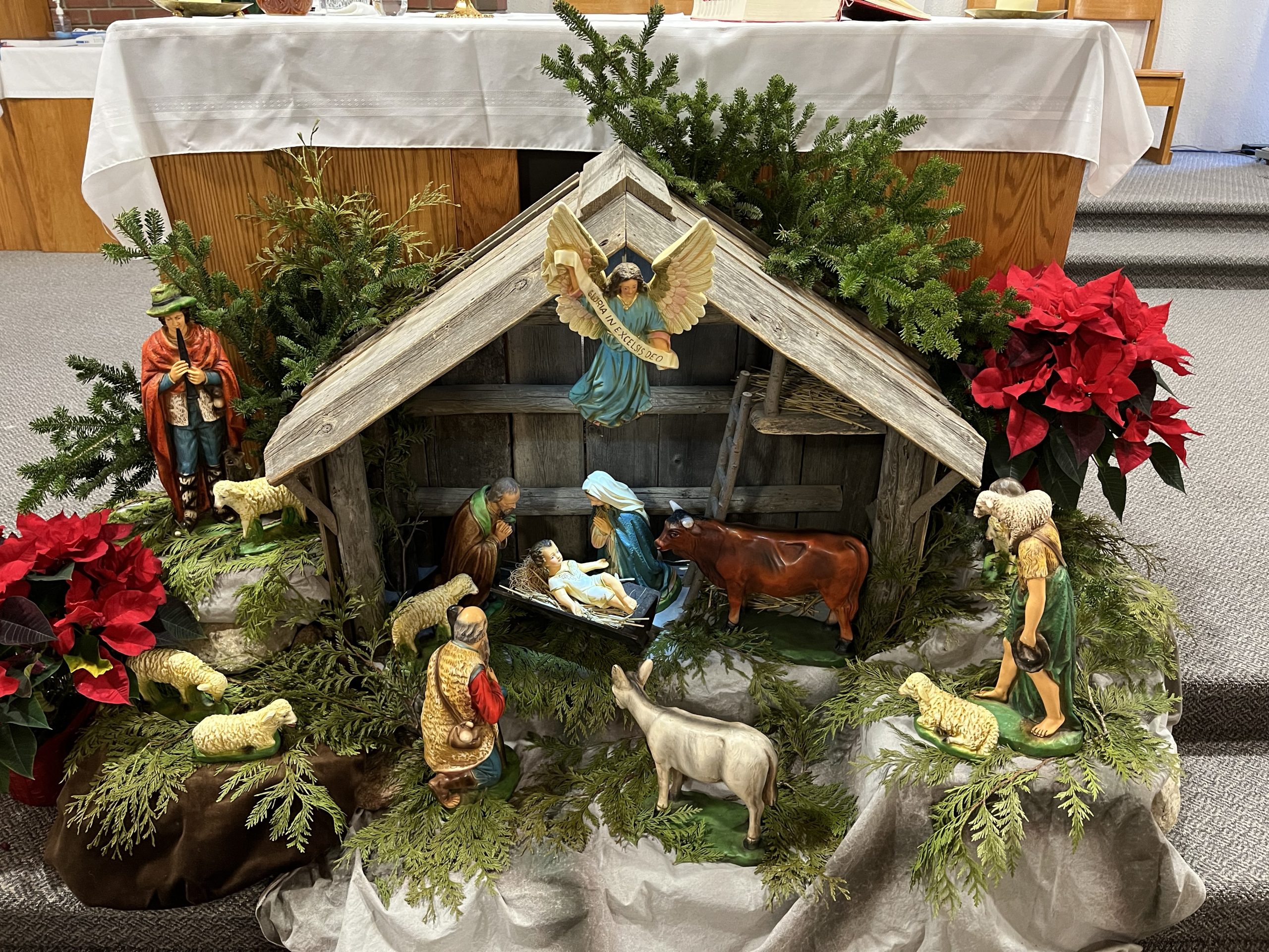 Homily from Dec. 25, 2023 (Christmas Day): 800 Year Anniversary