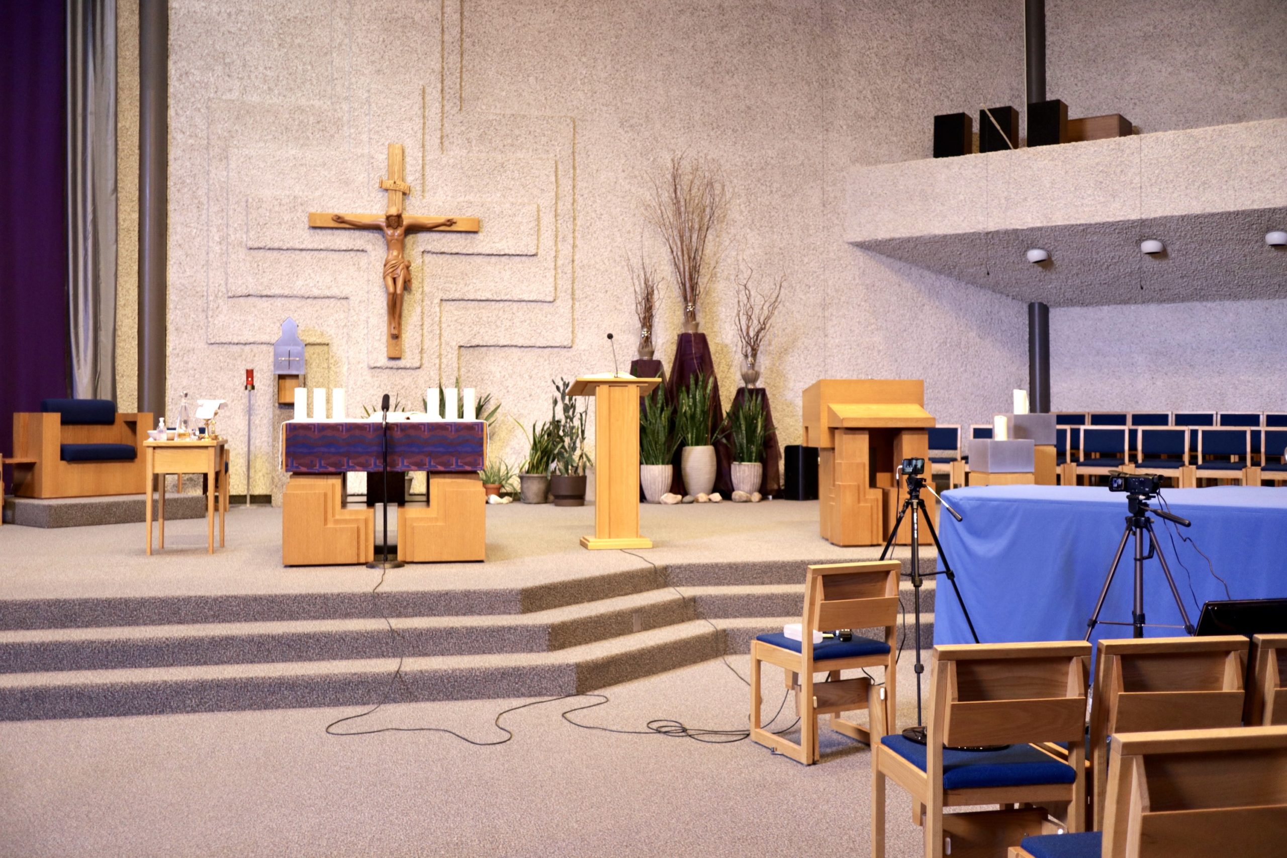 Homily from Mar. 22, 2020: The Lord is My Shepherd