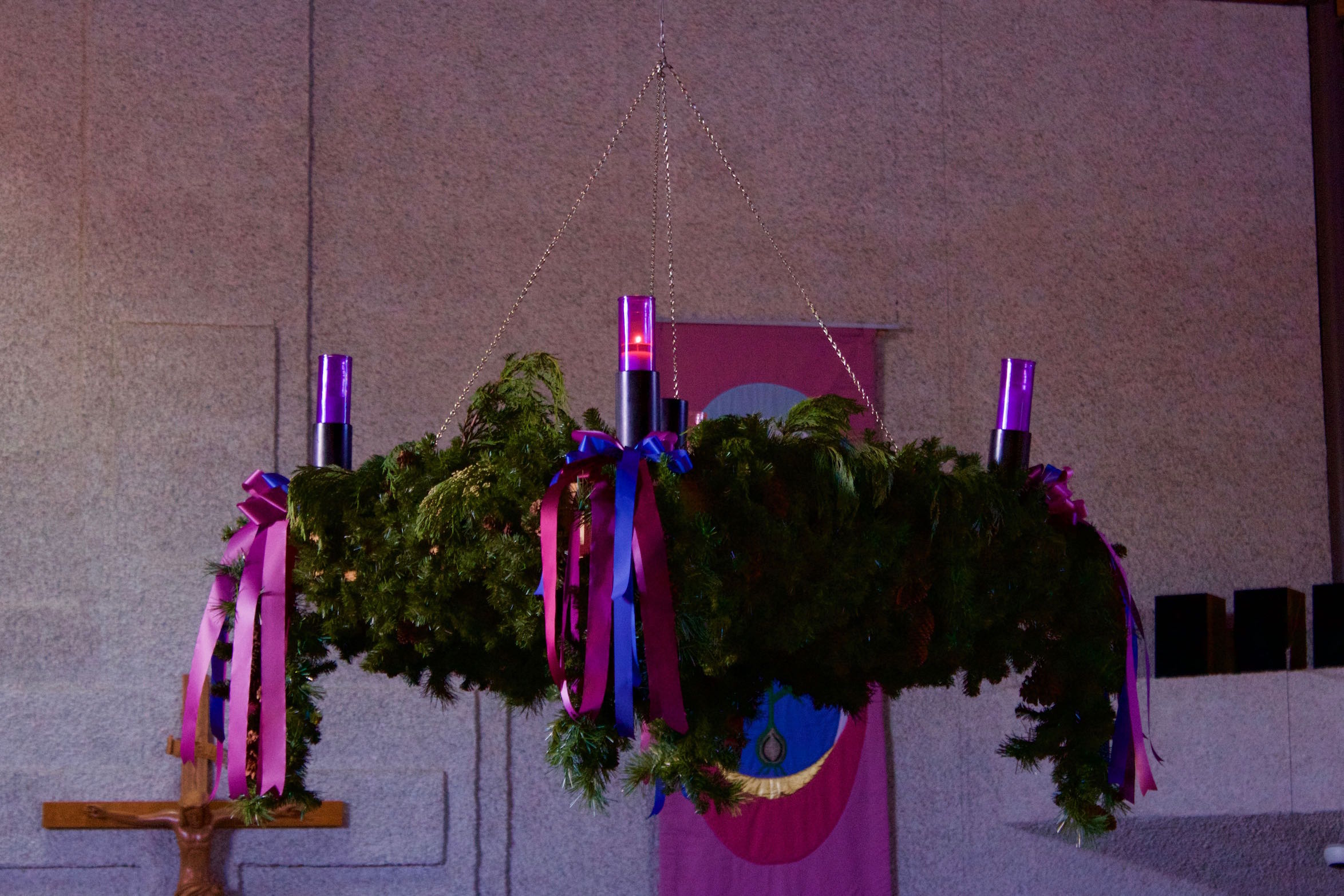 Homily from Nov. 29, 2015: The Special Guest