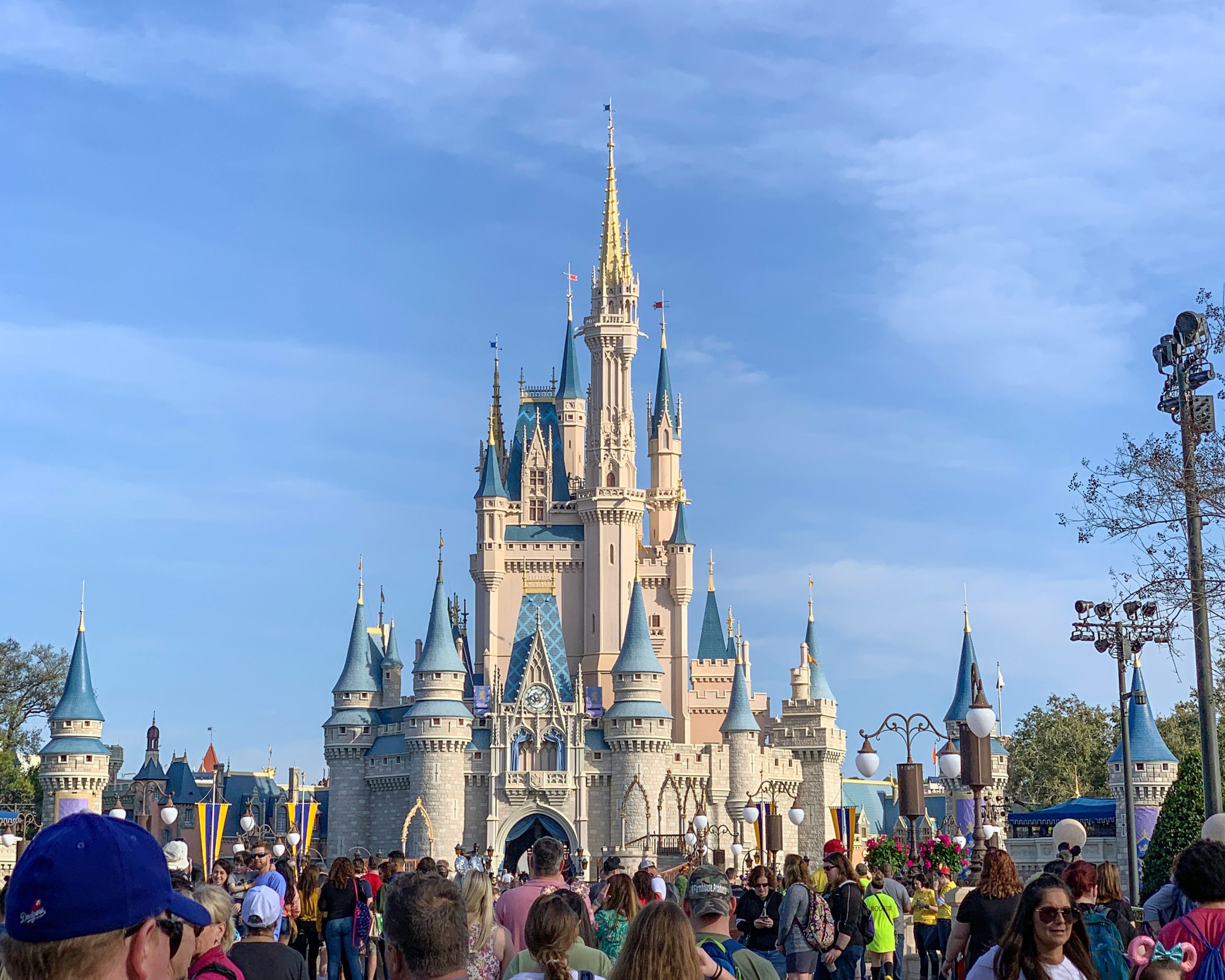 Homily from Nov. 12, 2023: Disney