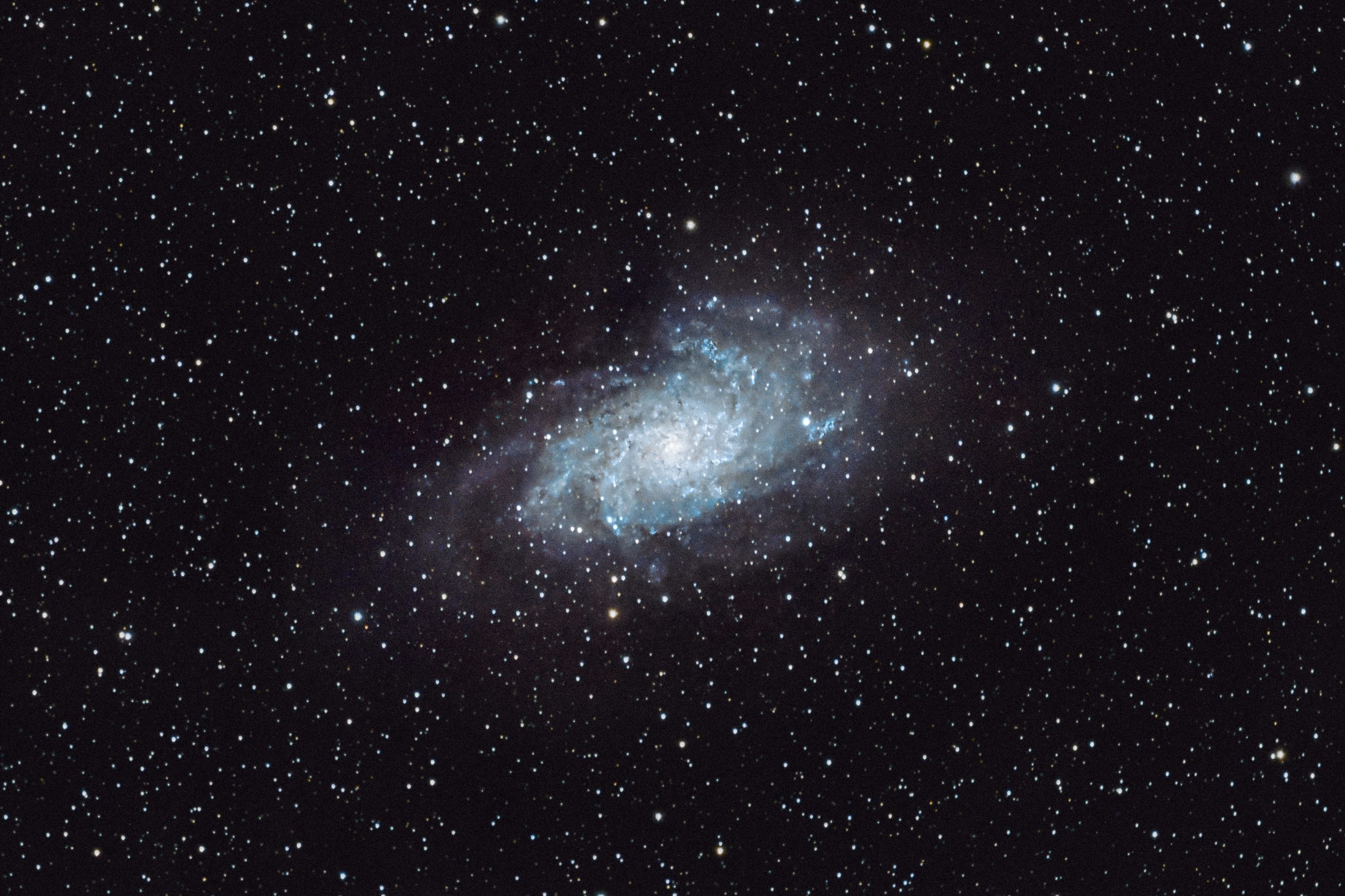 Homily from Nov. 26, 2023: King of the Universe