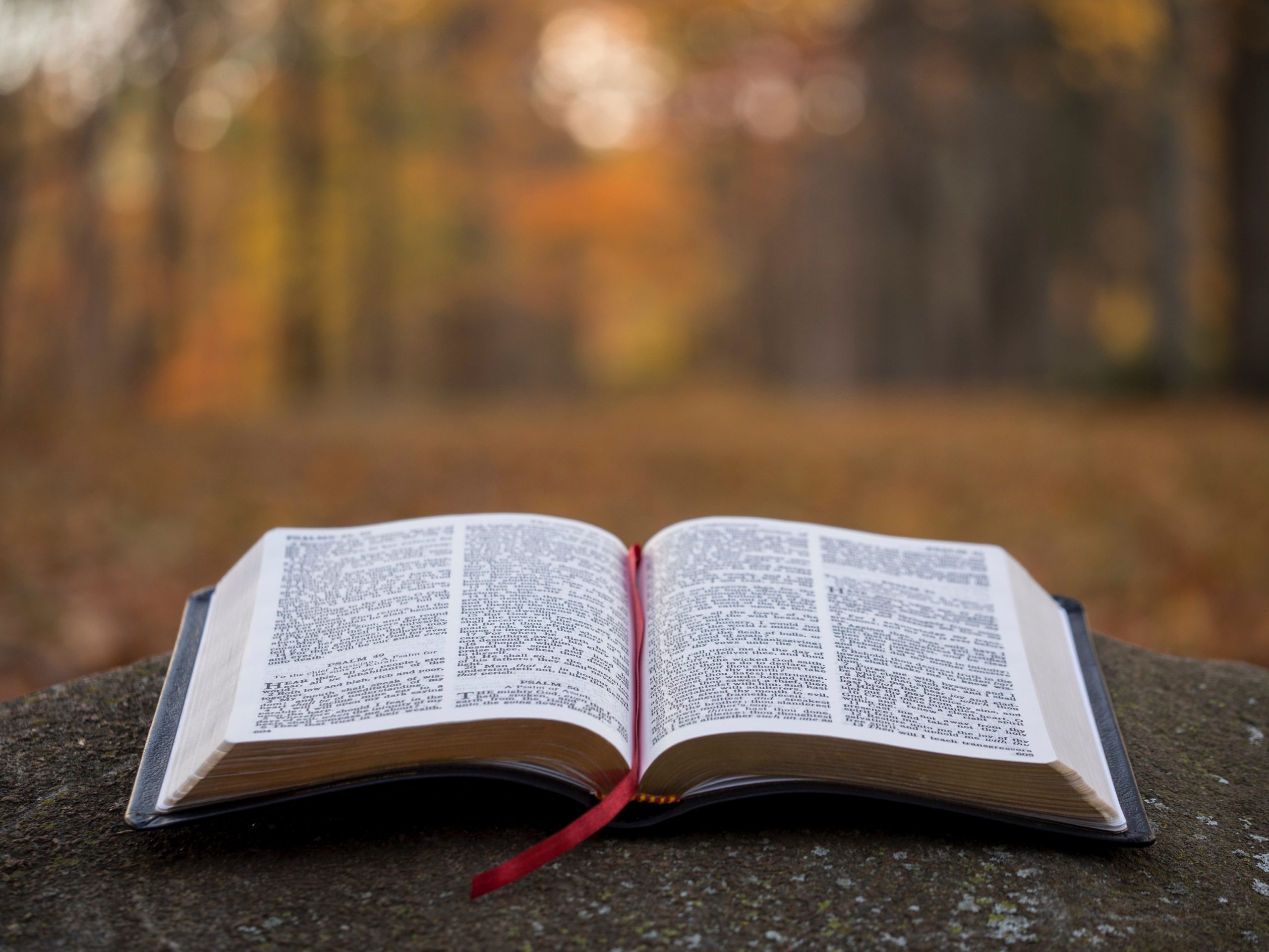 Homily from Jan. 26, 2020: The Great Story