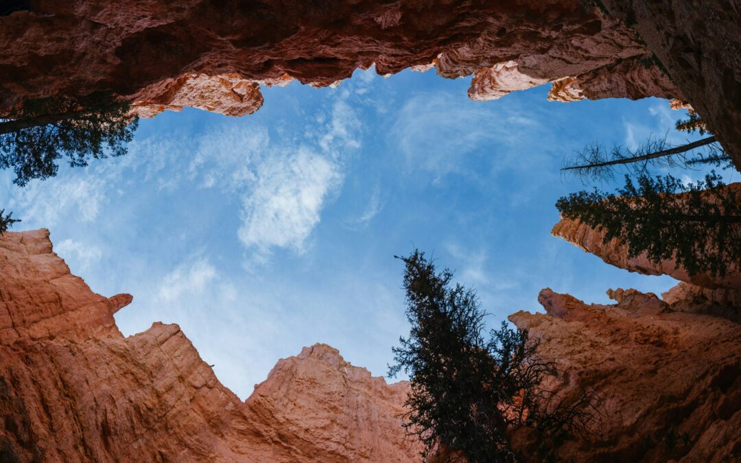 Homily from Sept. 28, 2025: Chasm