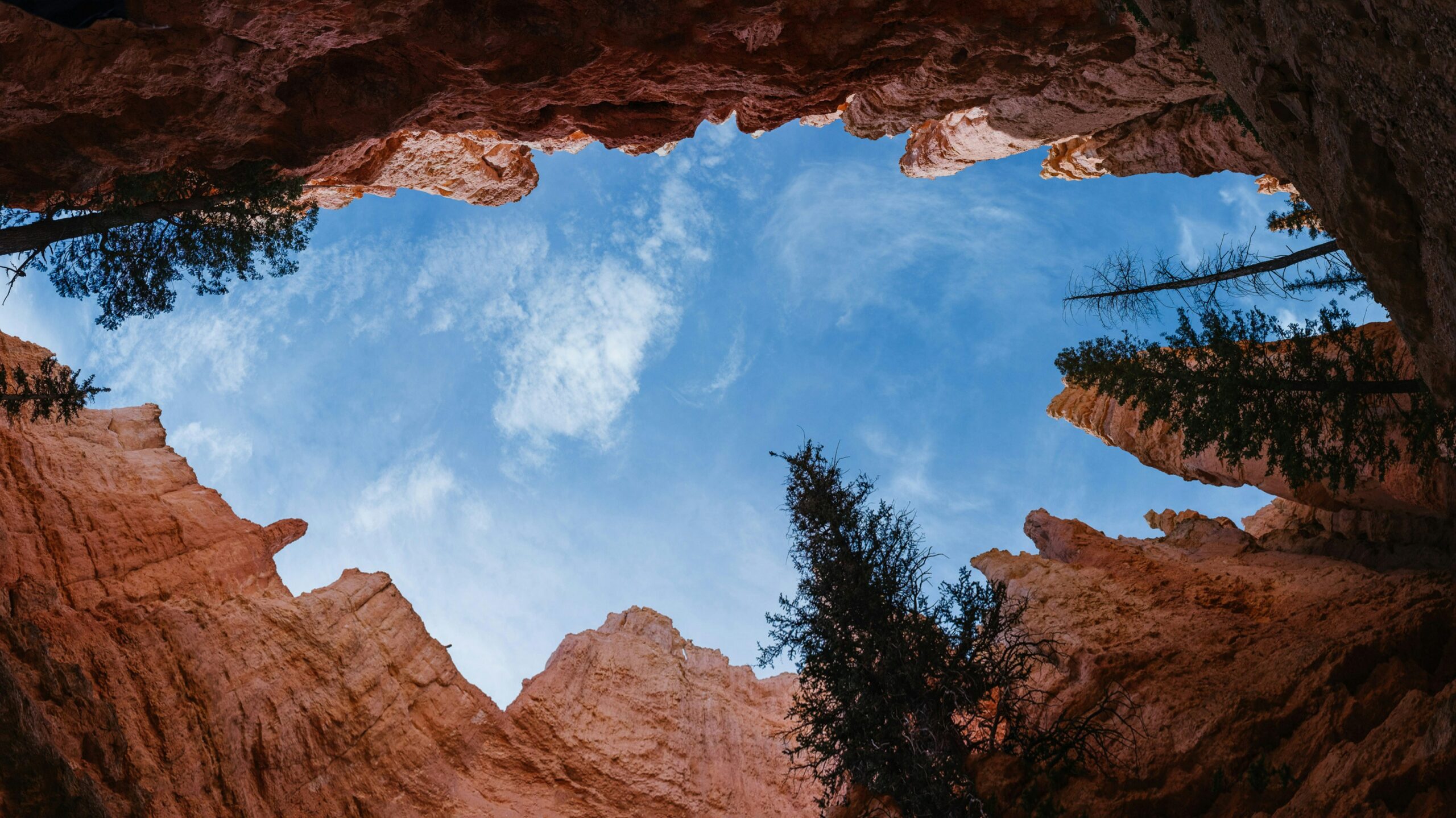 Homily from Sept. 28, 2025: Chasm