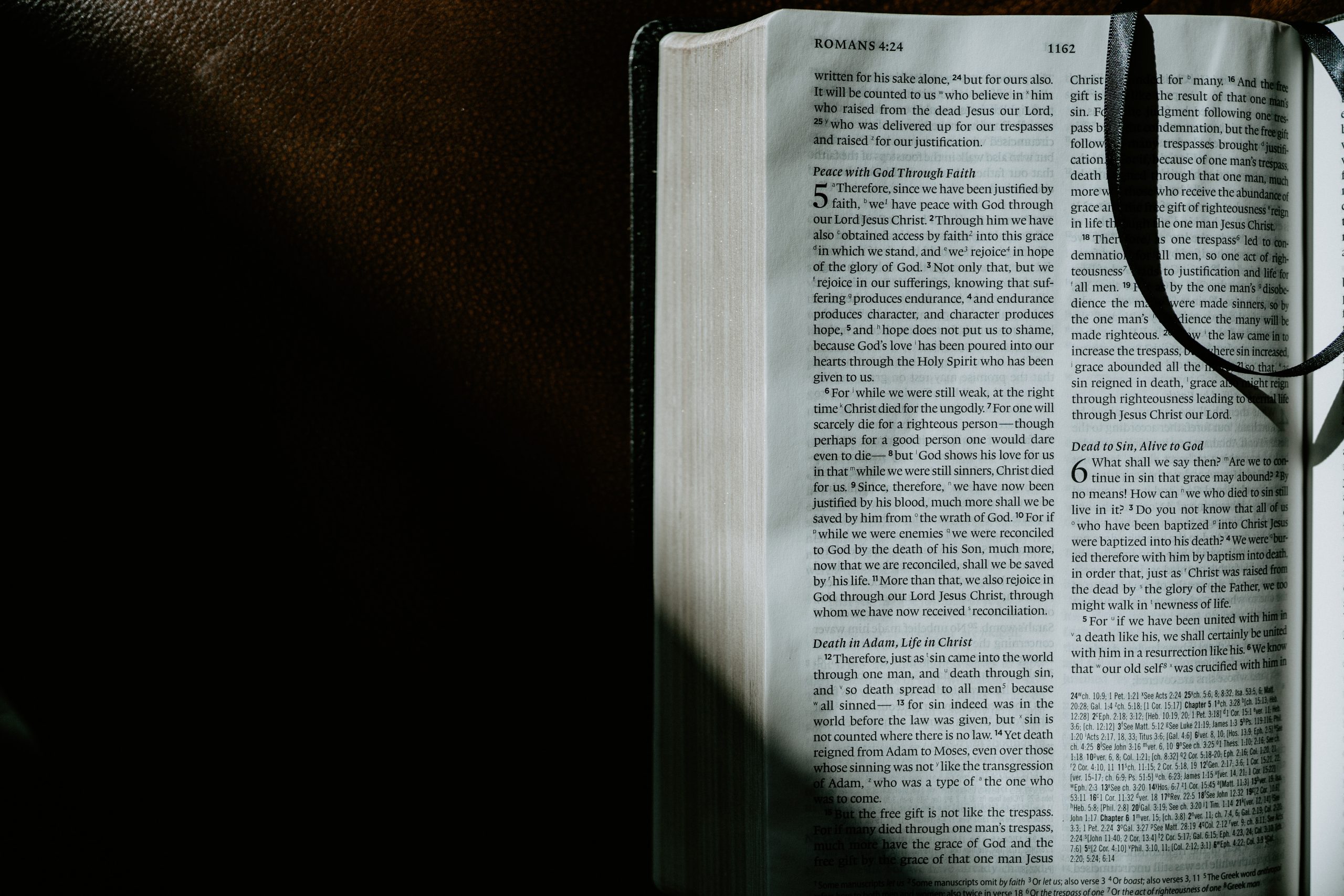 Homily from June 18, 2023: God Proves His Love For Us