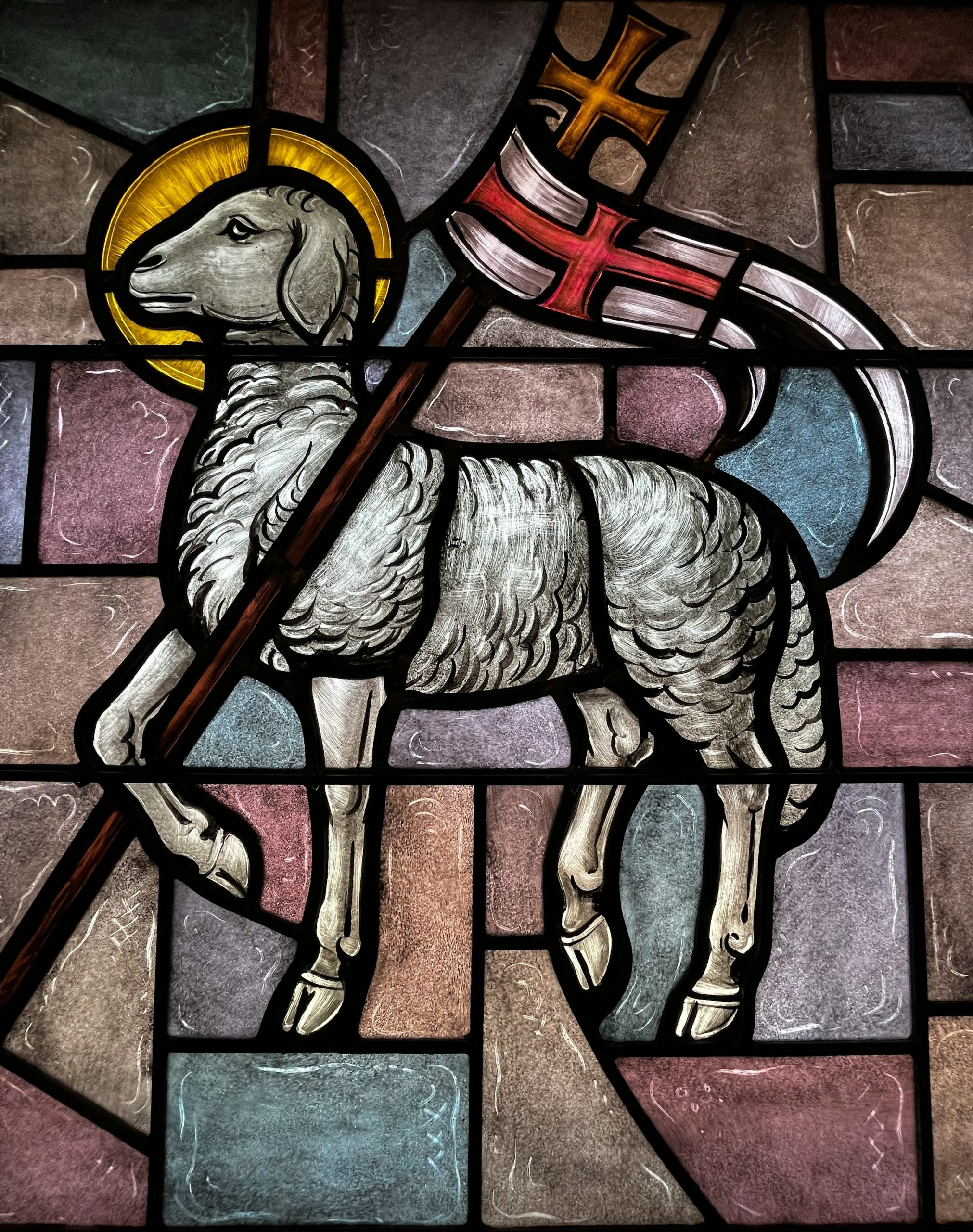 Homily from May 18, 2025: Look to Christ
