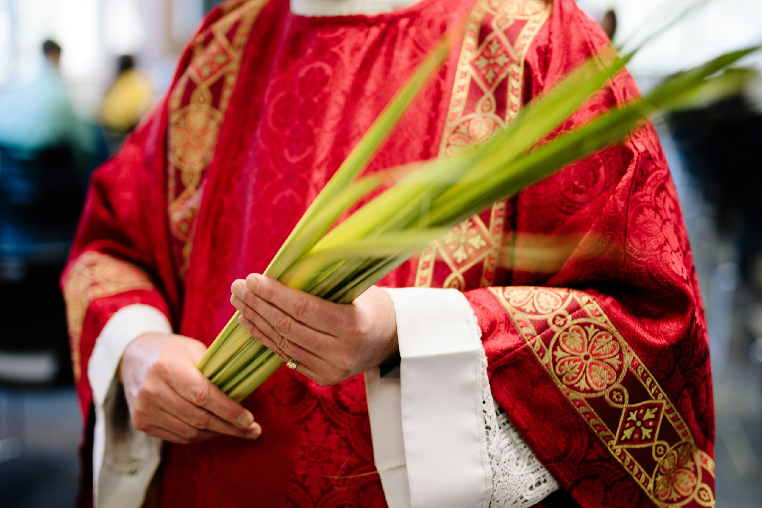 Brief Homily from Mar. 24, 2024: Palm Sunday of the Lord’s Passion