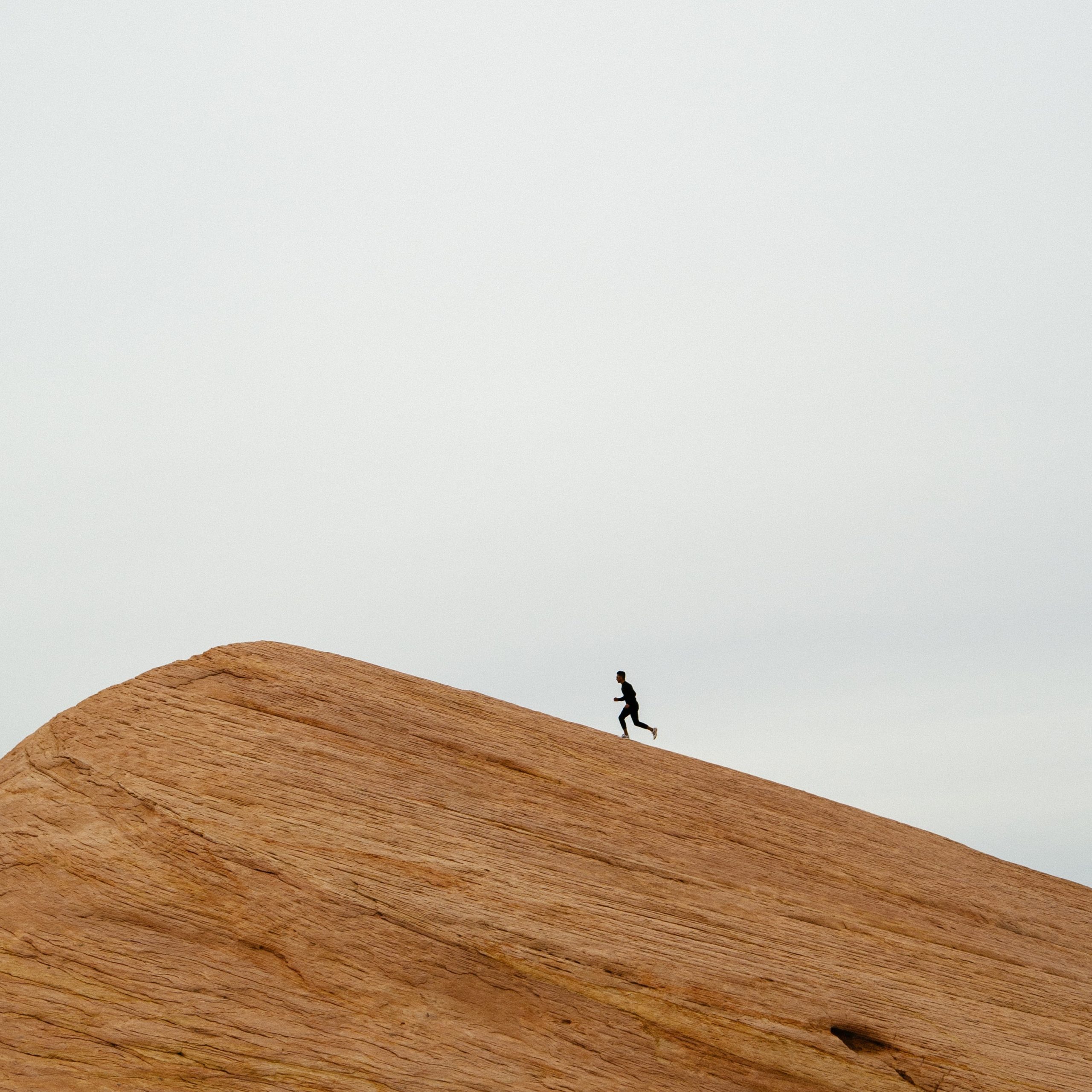Homily from Dec. 1, 2019: Run Forth to Meet Christ