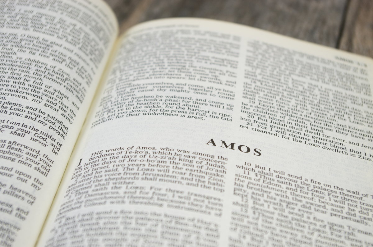 Homily from July 11, 2021: I’m just a guy