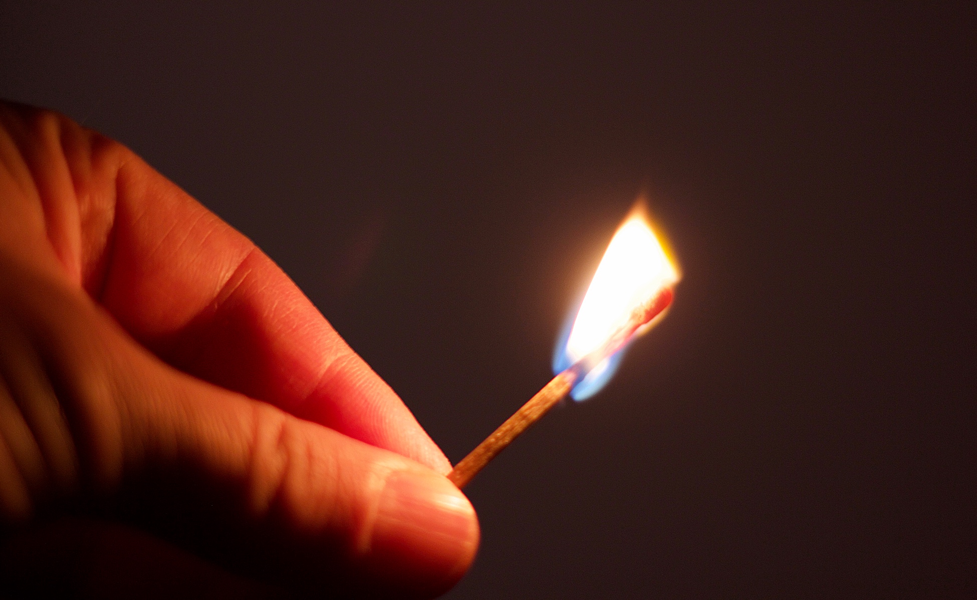 Homily from Nov. 13, 2016: Be a Light