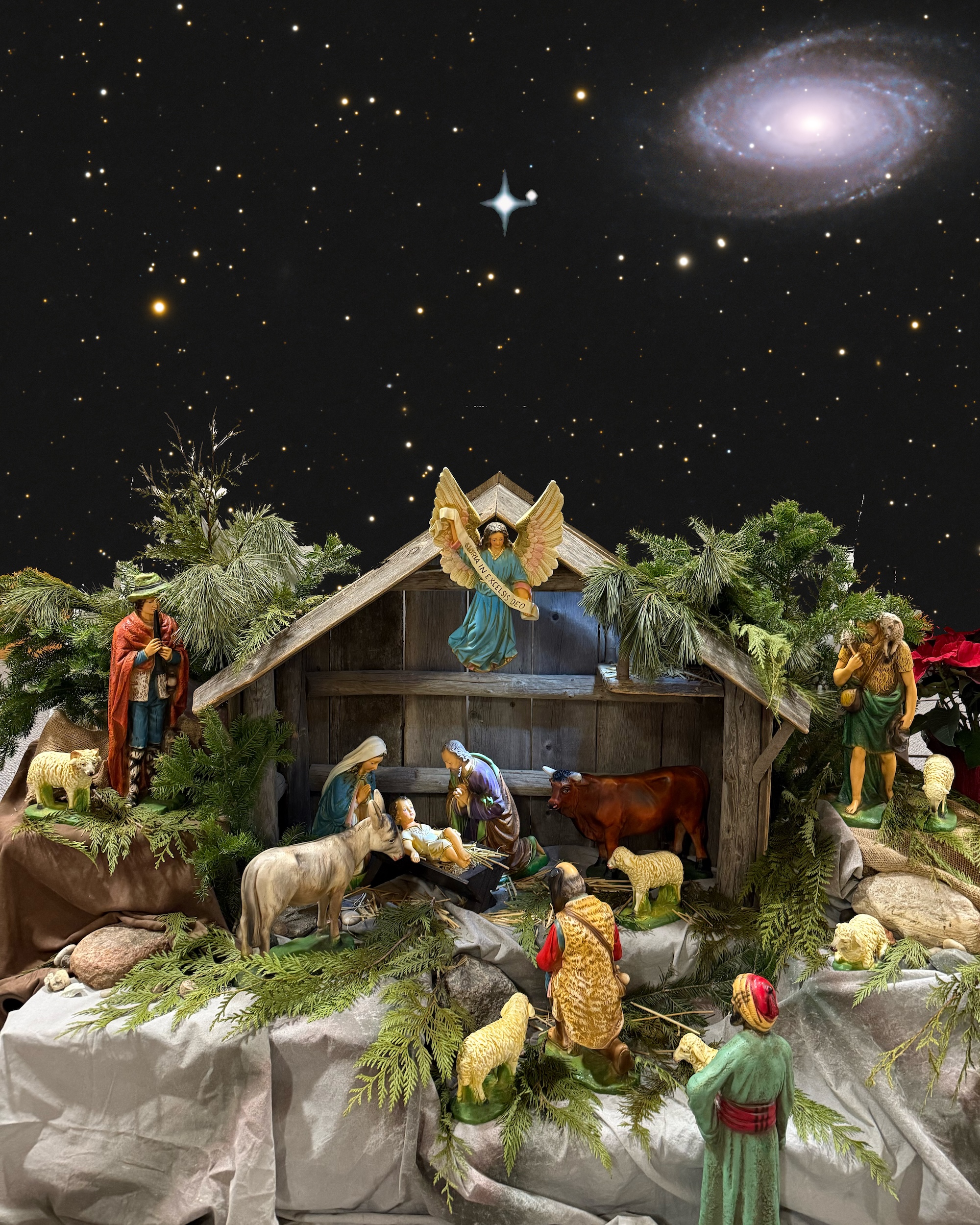 Homily from Dec. 24, 2024 (Christmas Mass During the Night): Ever Ancient, Ever New
