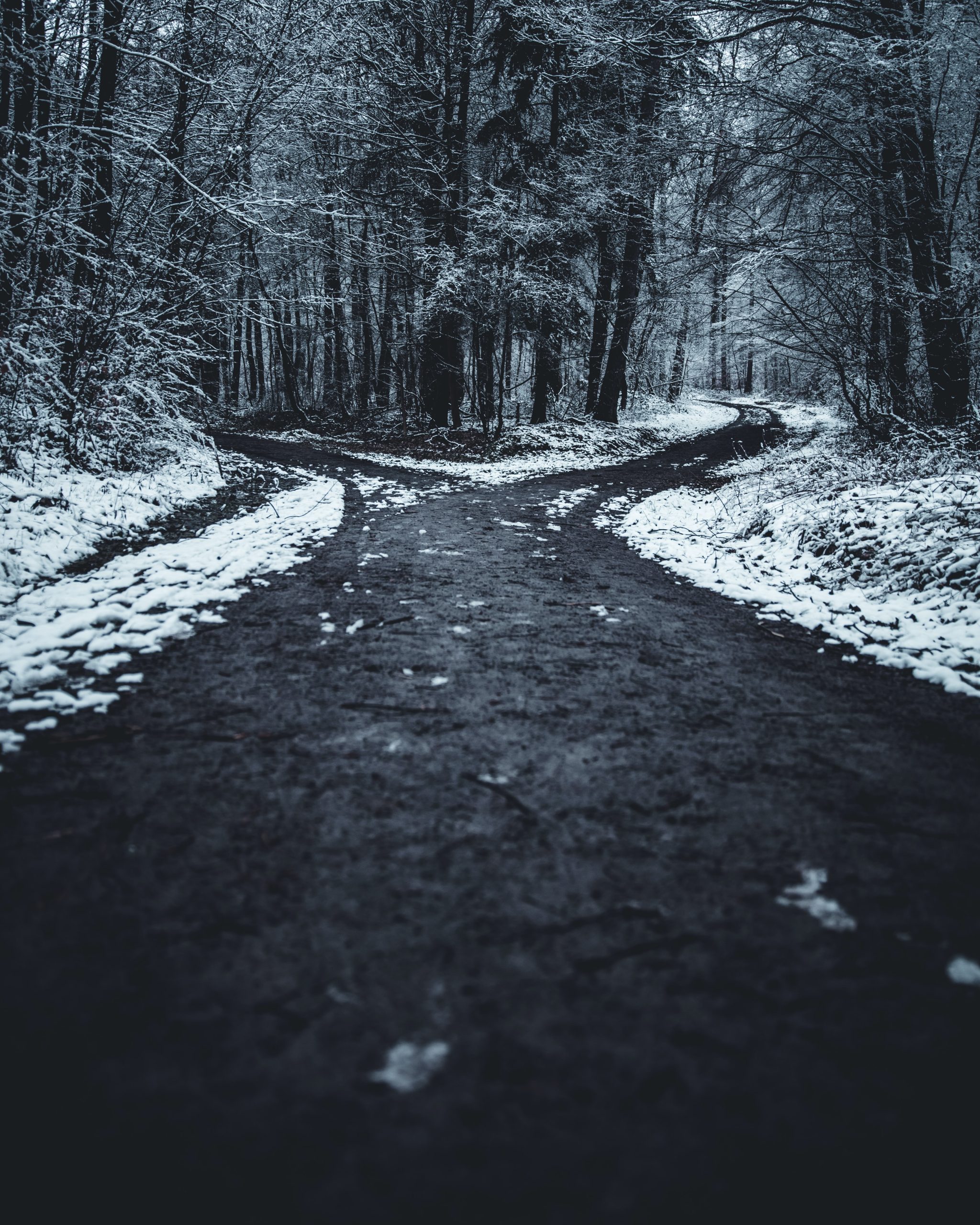 Homily from Feb. 12, 2023: When you come to a fork in the road, take it.
