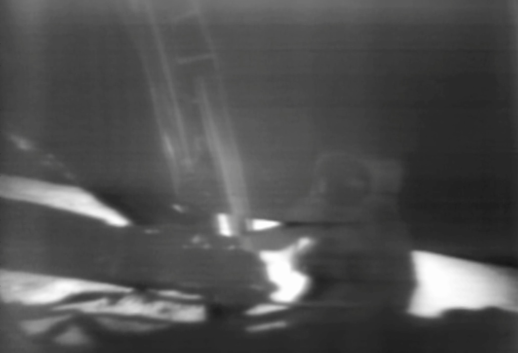Homily from July 20, 2014: One Small Step