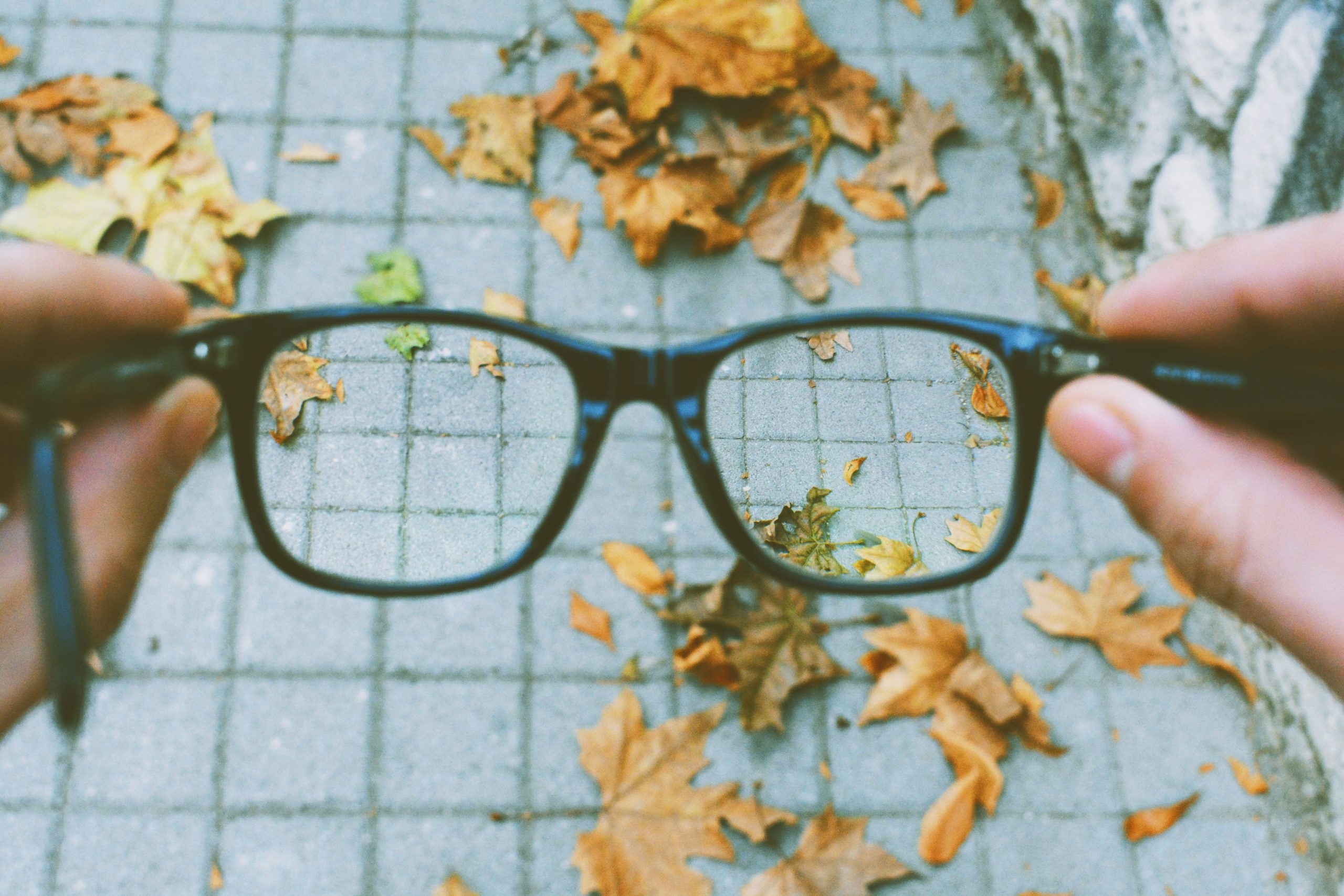 Homily from Oct. 13, 2024: Glasses