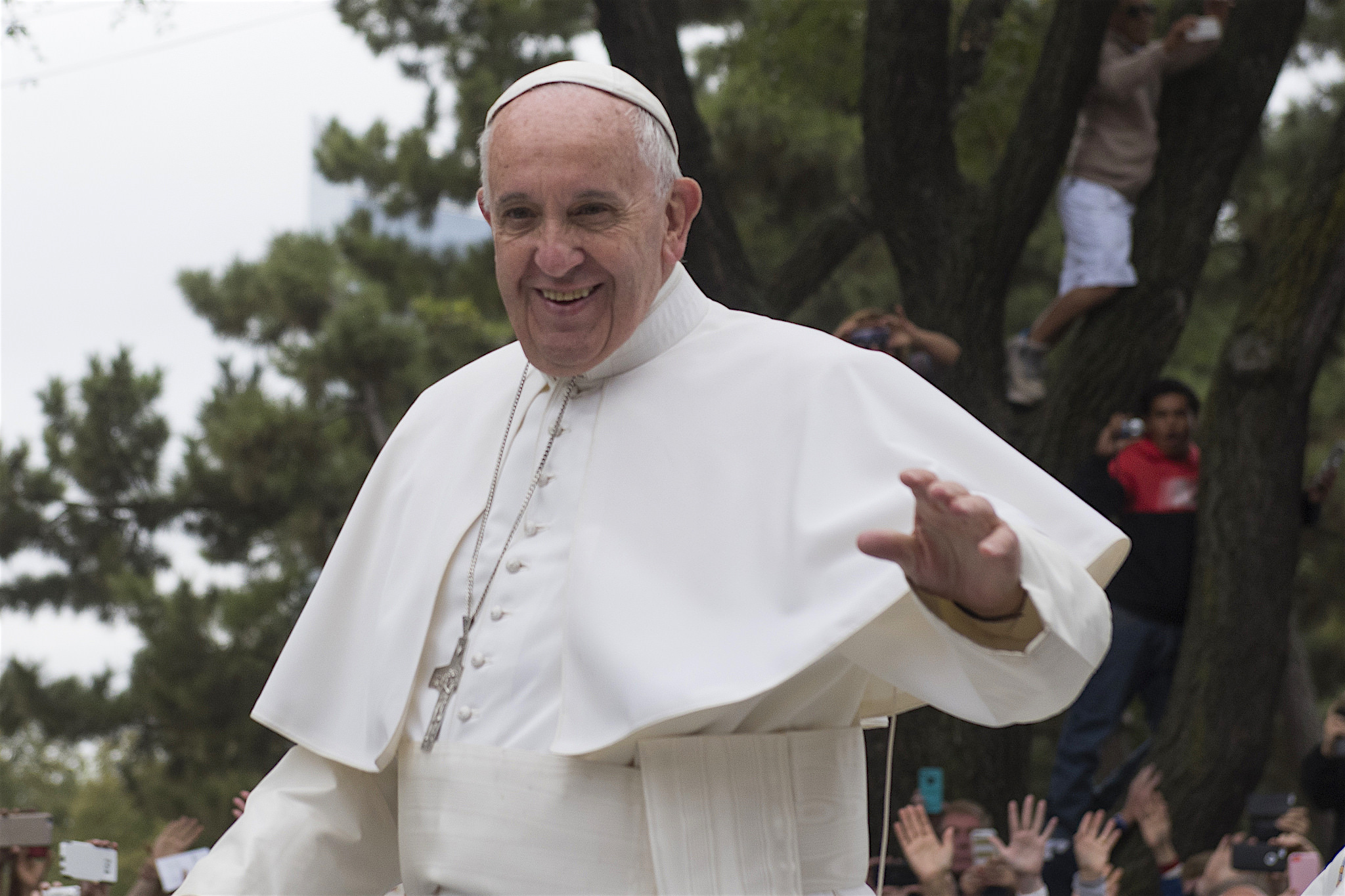 Homily from Apr. 27, 2025: God Never Tires of Forgiving Us