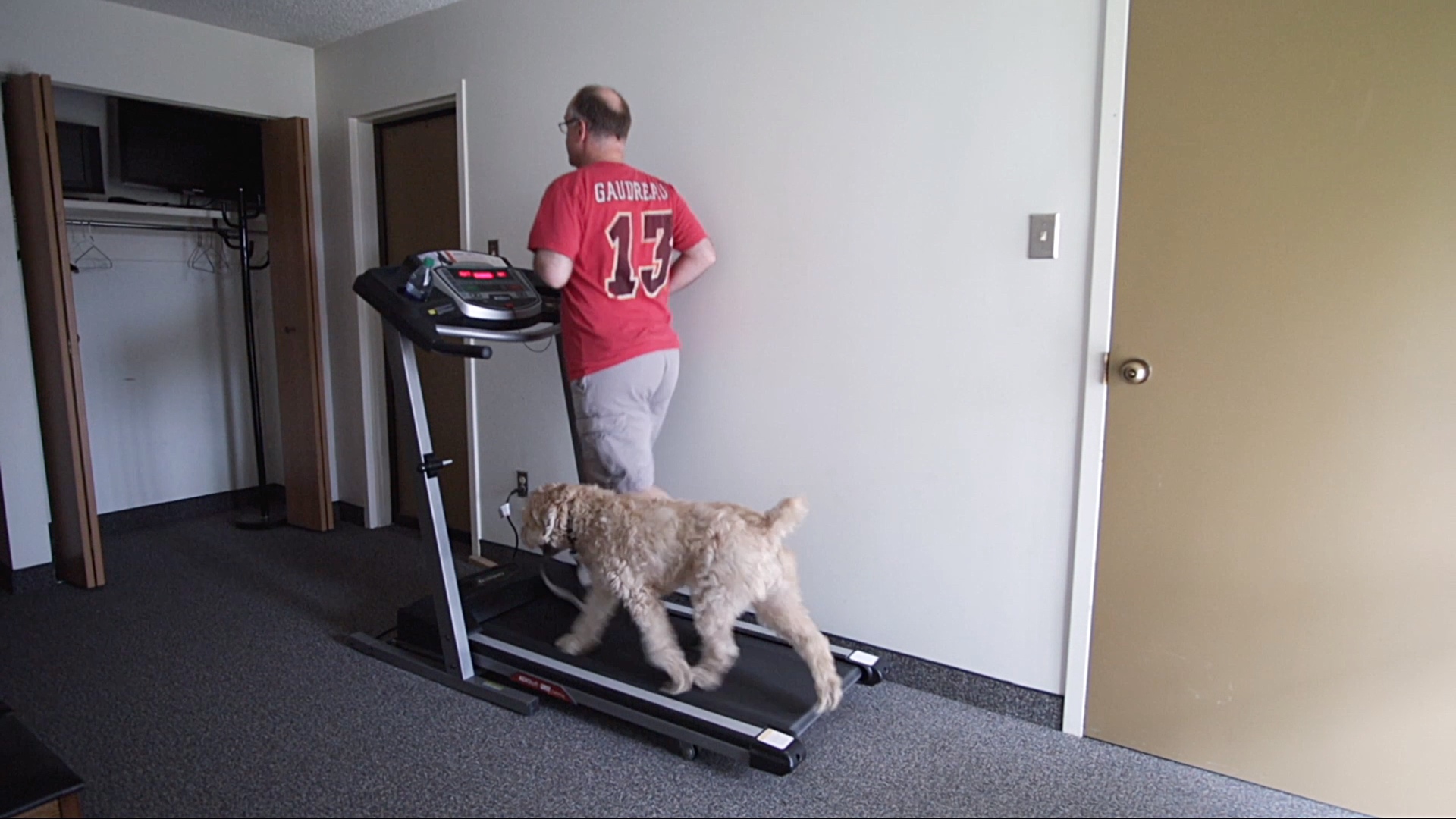 Treadmill 🏃‍♂️🐶: #TenSecondTuesday
