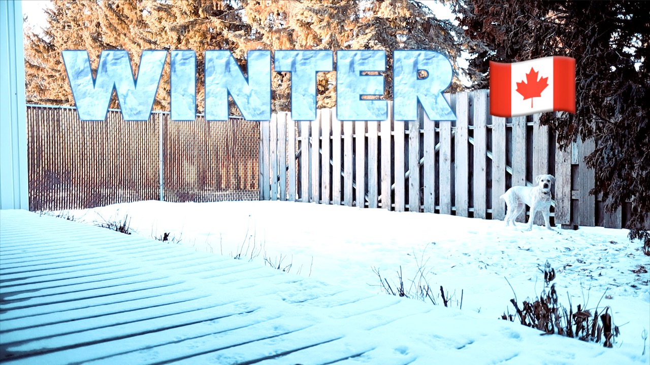 #TenSecondTuesday: Winter 🇨🇦