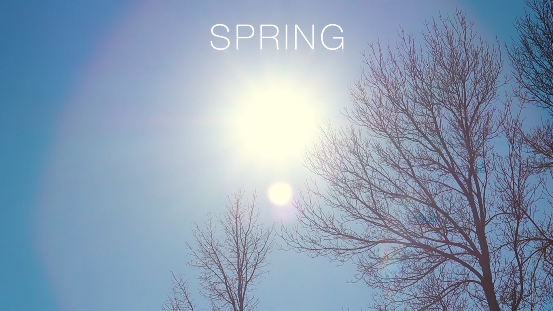 #TenSecondTuesday: Spring 🌞