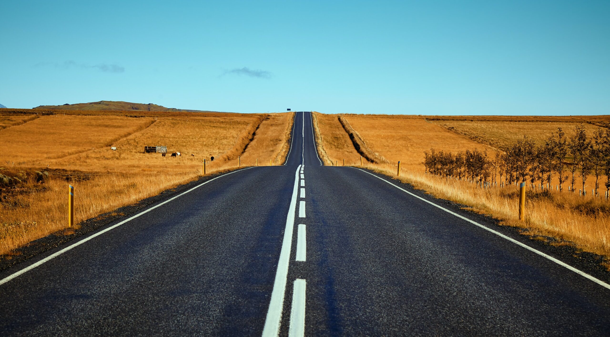 Homily from Aug. 9, 2020: Look where you want to go
